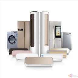 格蘭仕大全面對標 國際一流 進入新境界